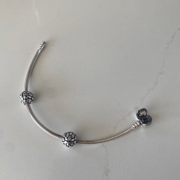 Pandora Silver Snake Chain Bracelet with 2 Spacer Charms - Picture 4 of 13